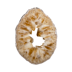 1212 001212