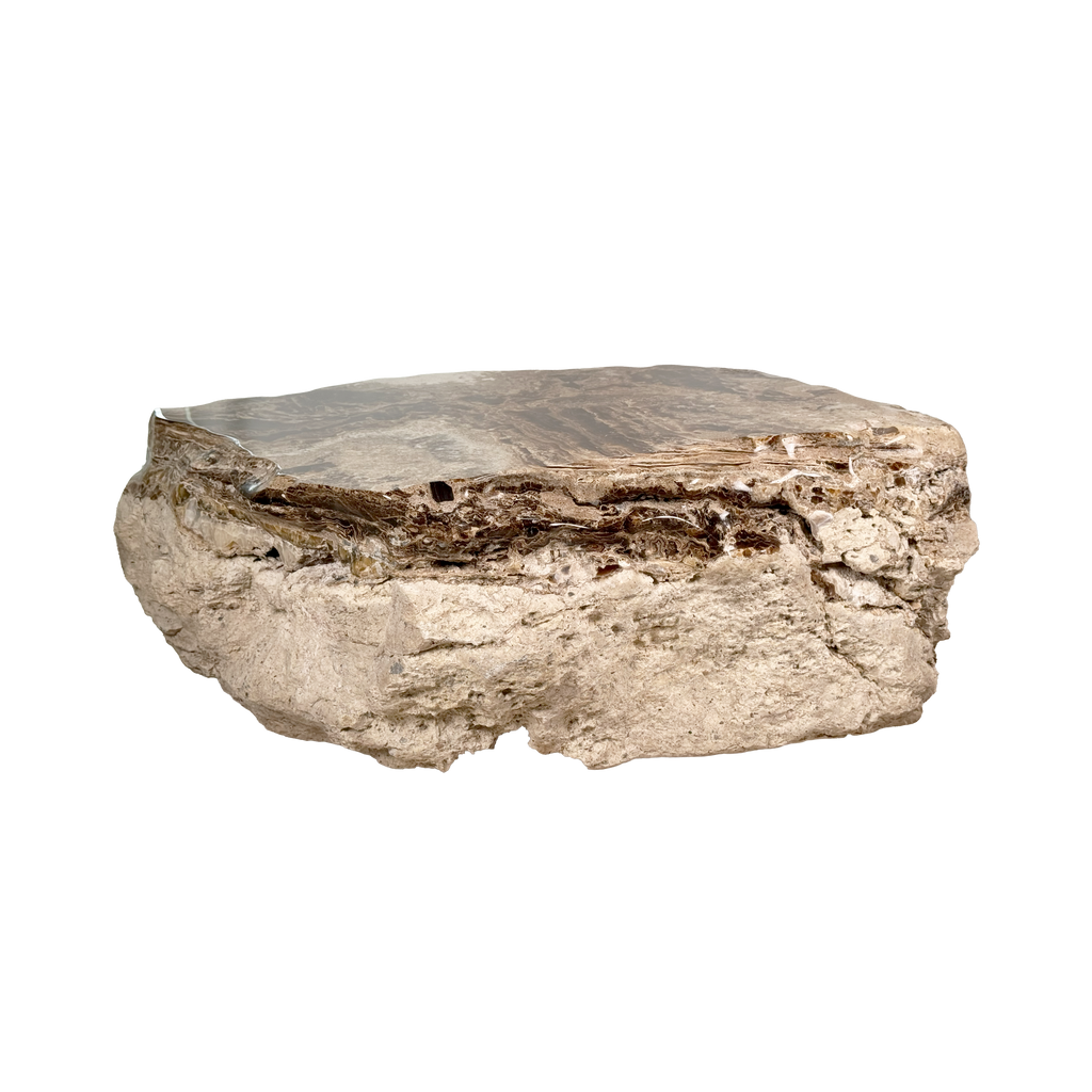 Onyx Coffee Table 135x100x44cm 20000034