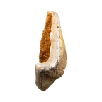 The Golden Ember Citrine