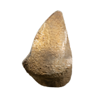 The Golden Ember Citrine