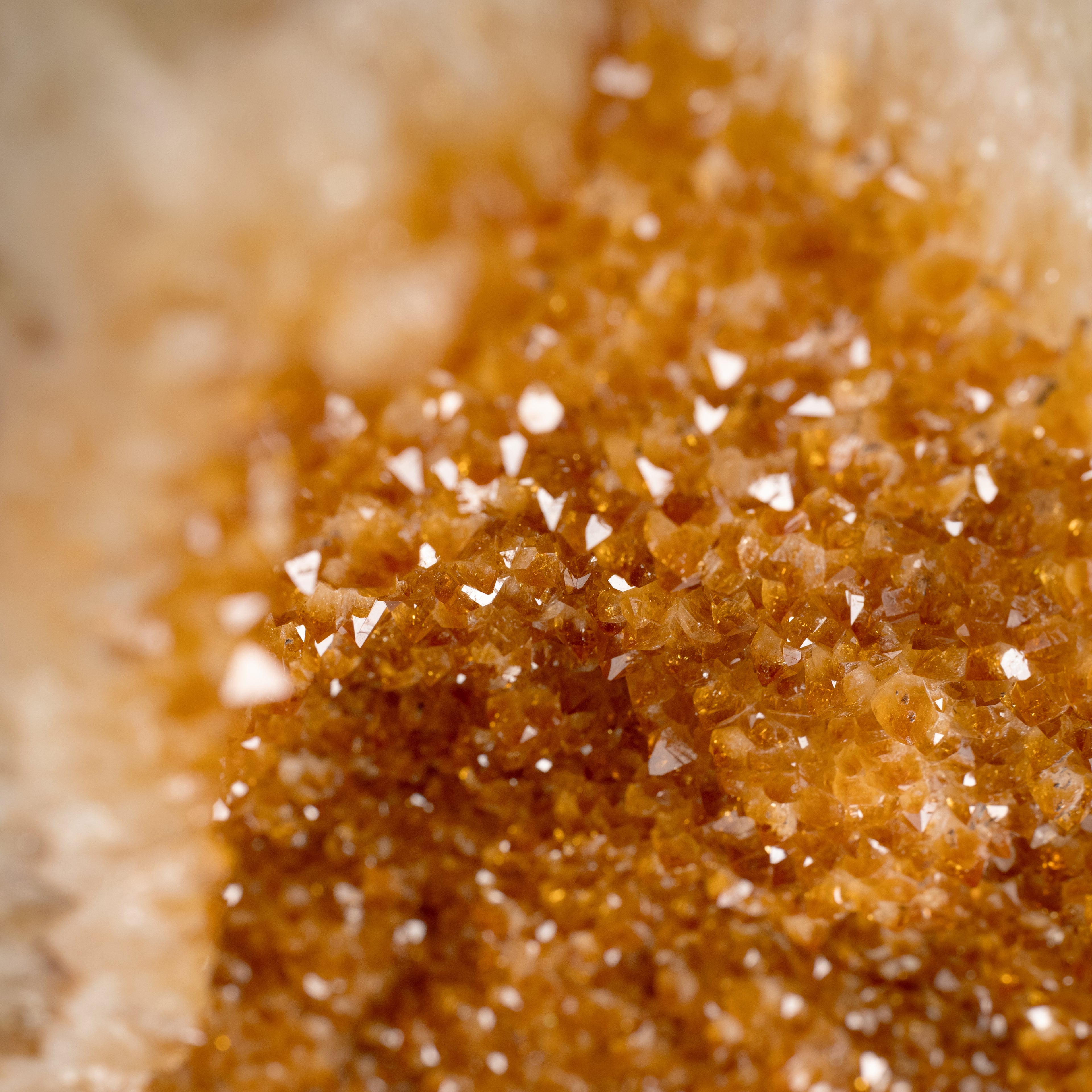 The Golden Ember Citrine
