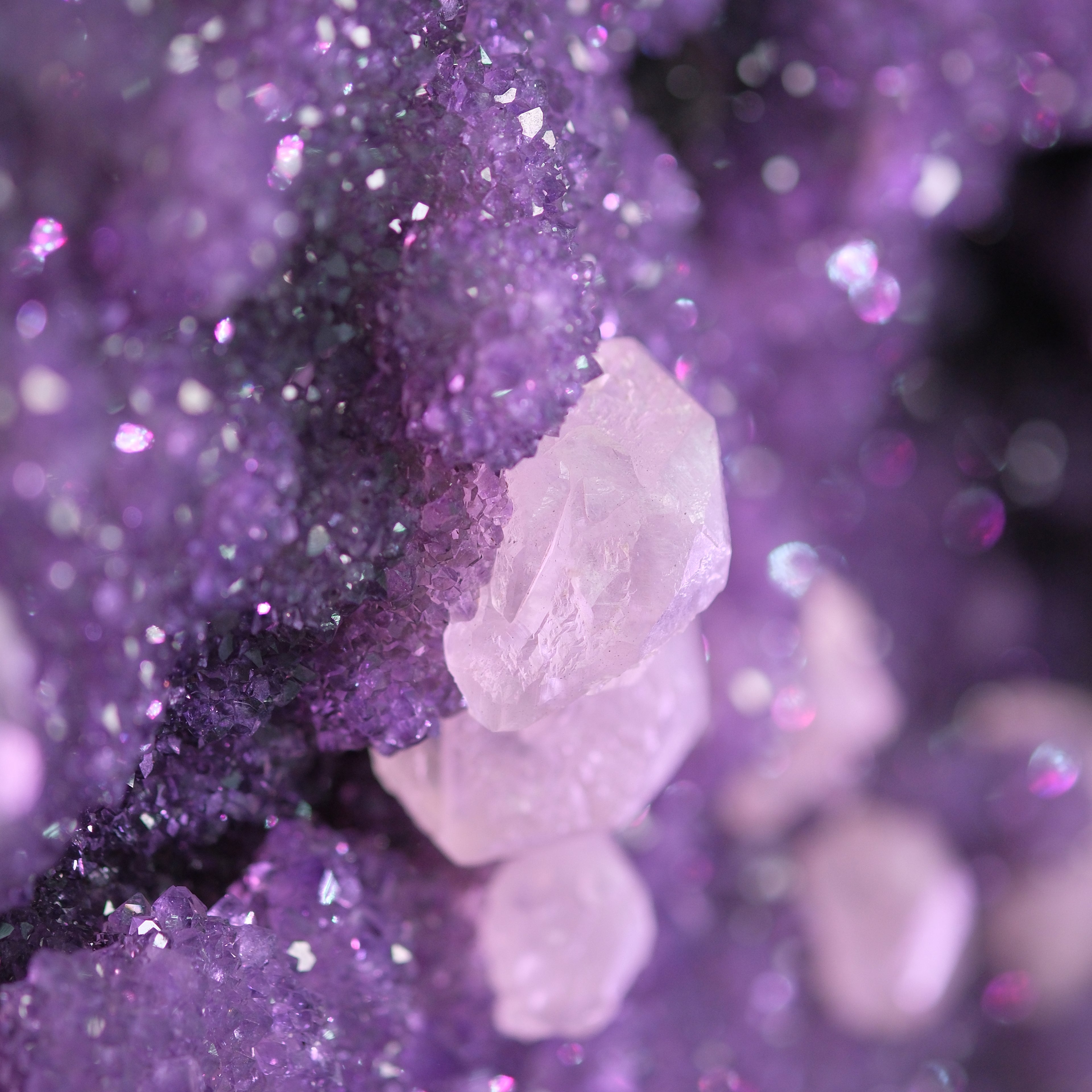 The Violet Snowfall Amethyst
