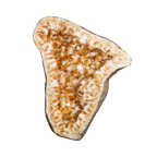 The Milk & Honey Citrine