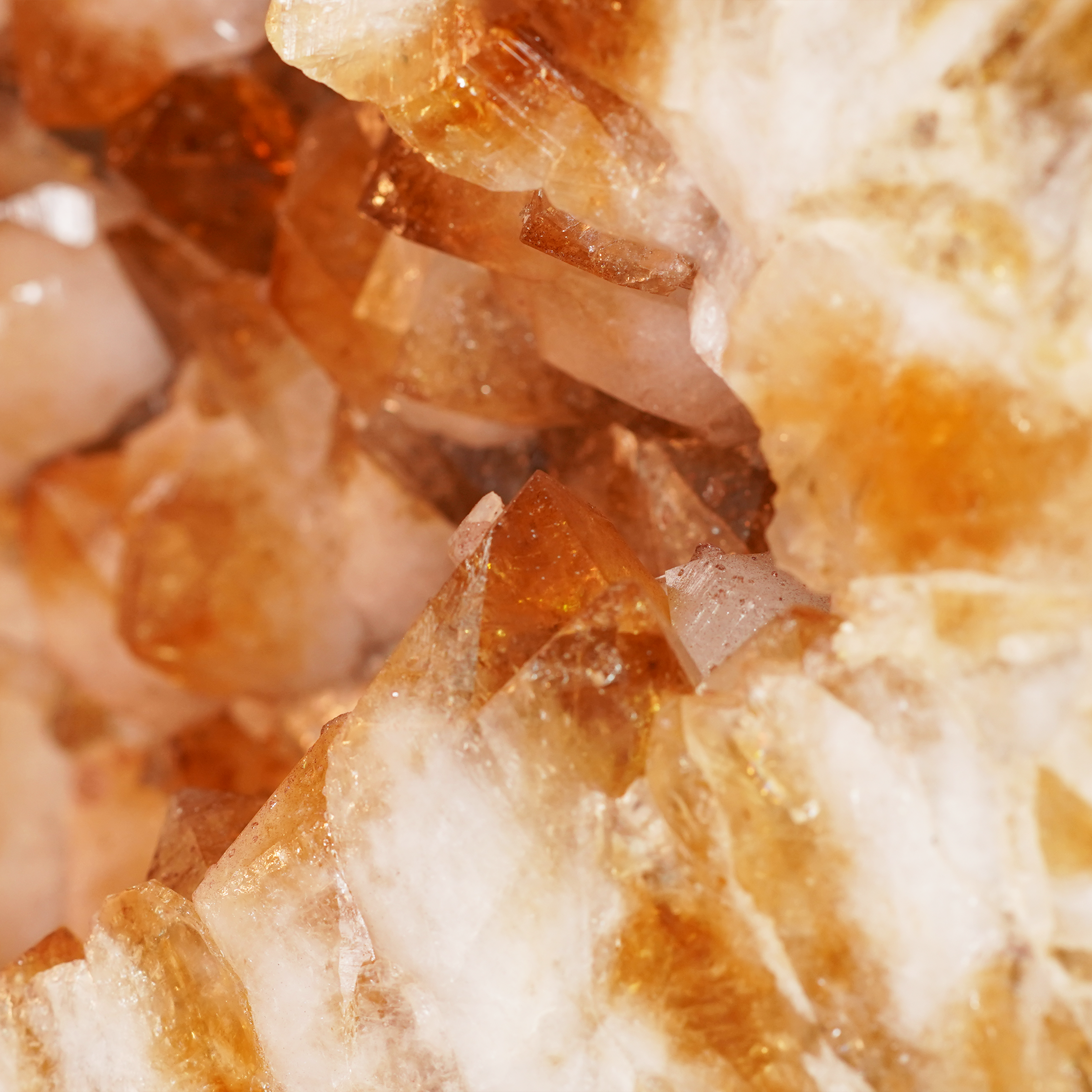 The Milk & Honey Citrine