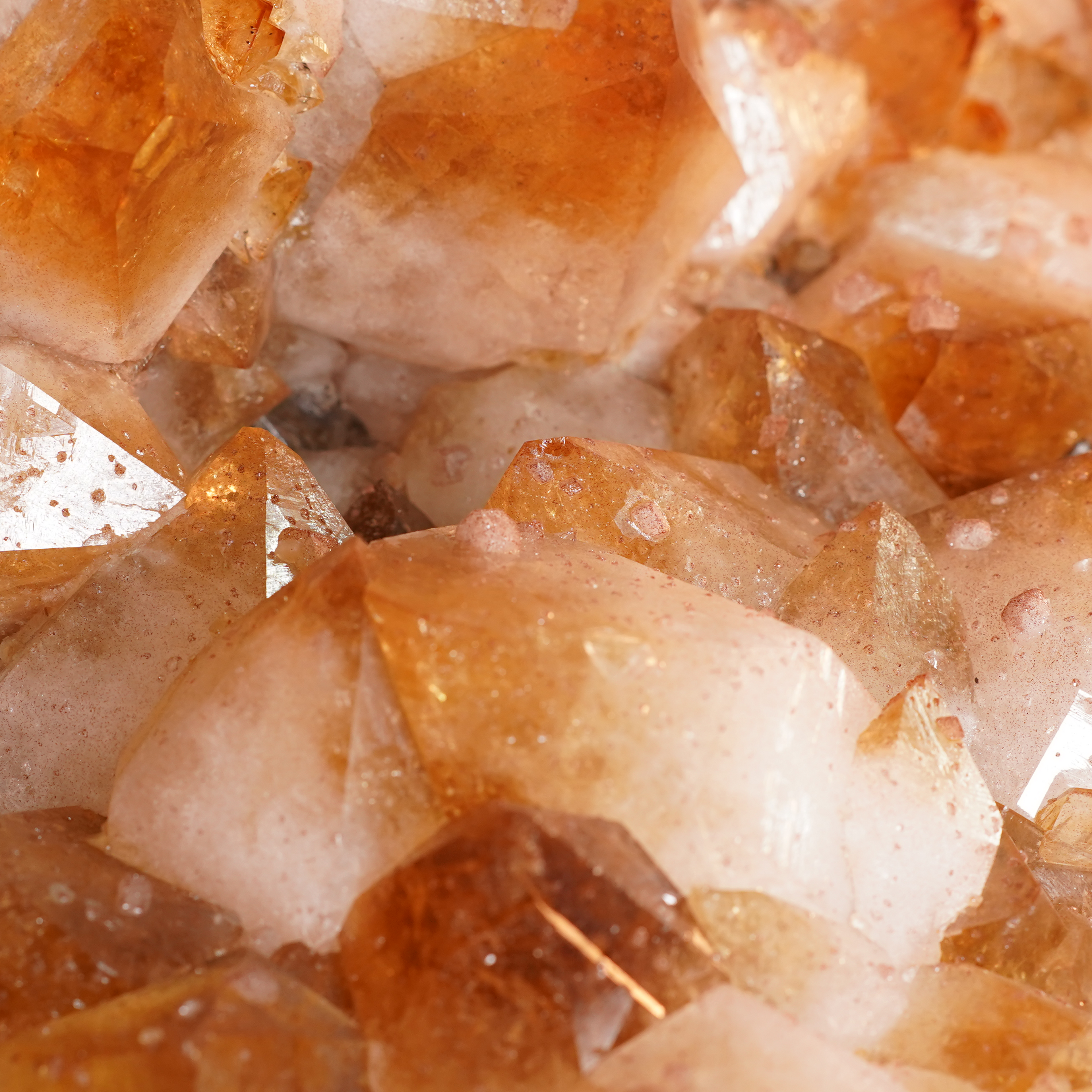 The Milk & Honey Citrine