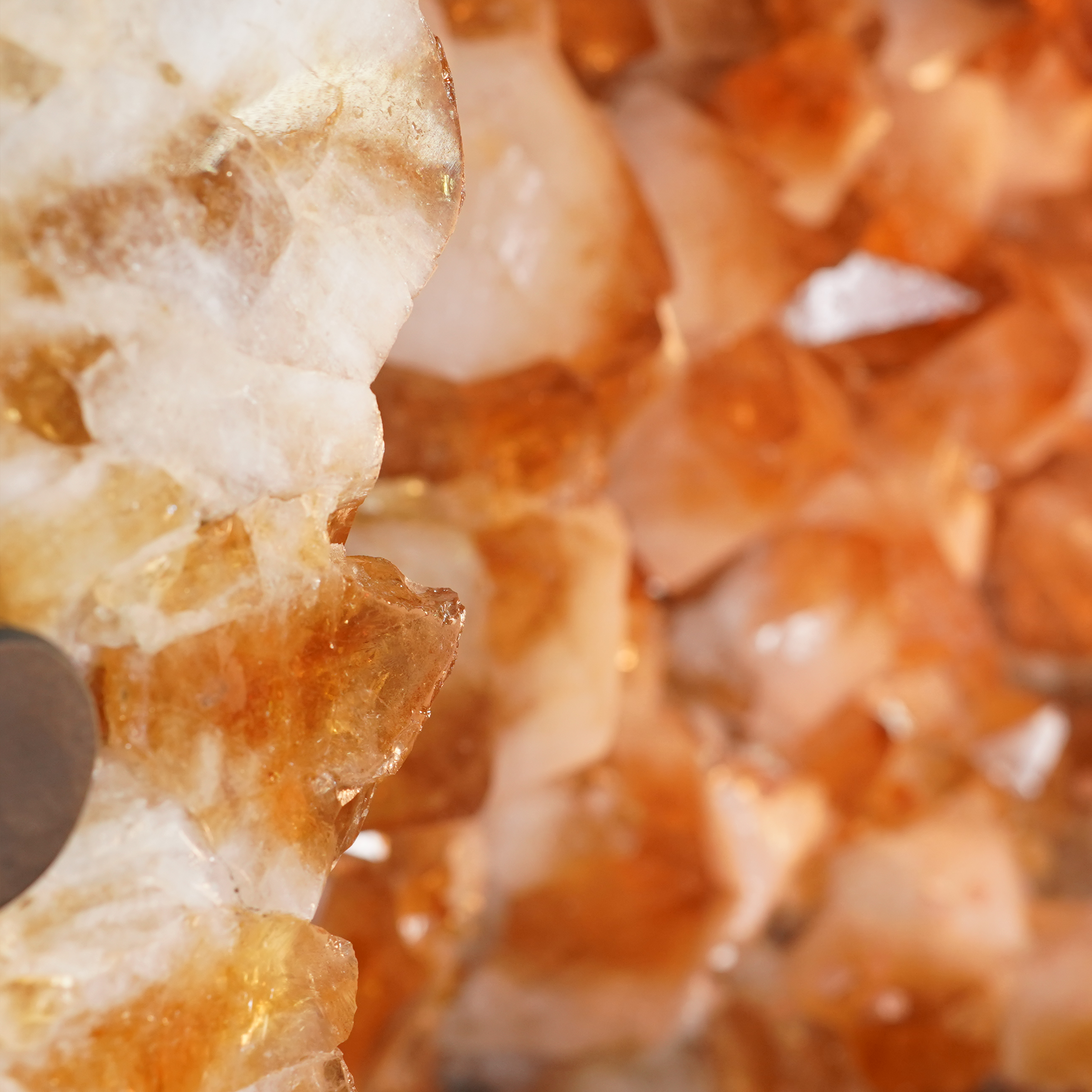 The Milk & Honey Citrine