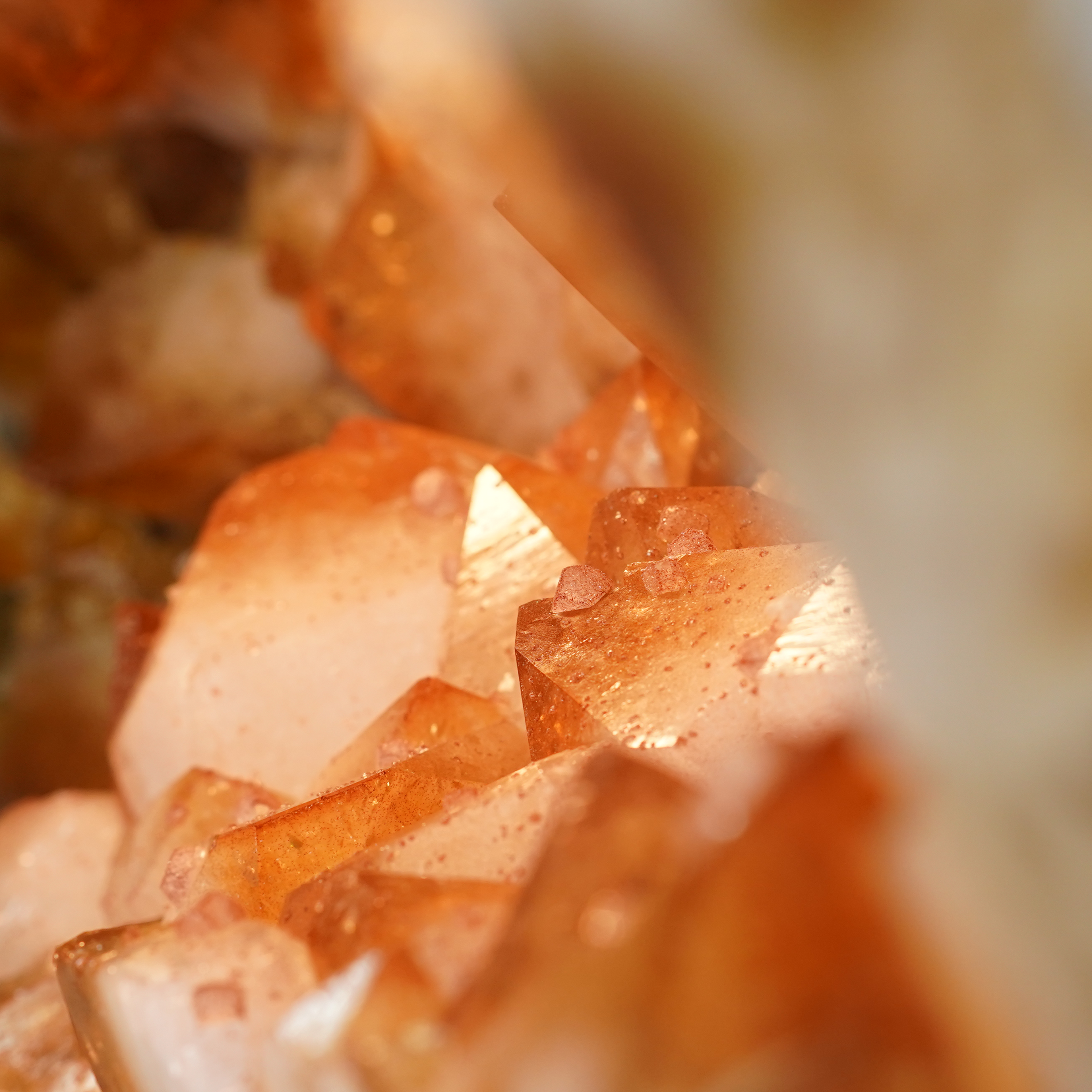 The Milk & Honey Citrine