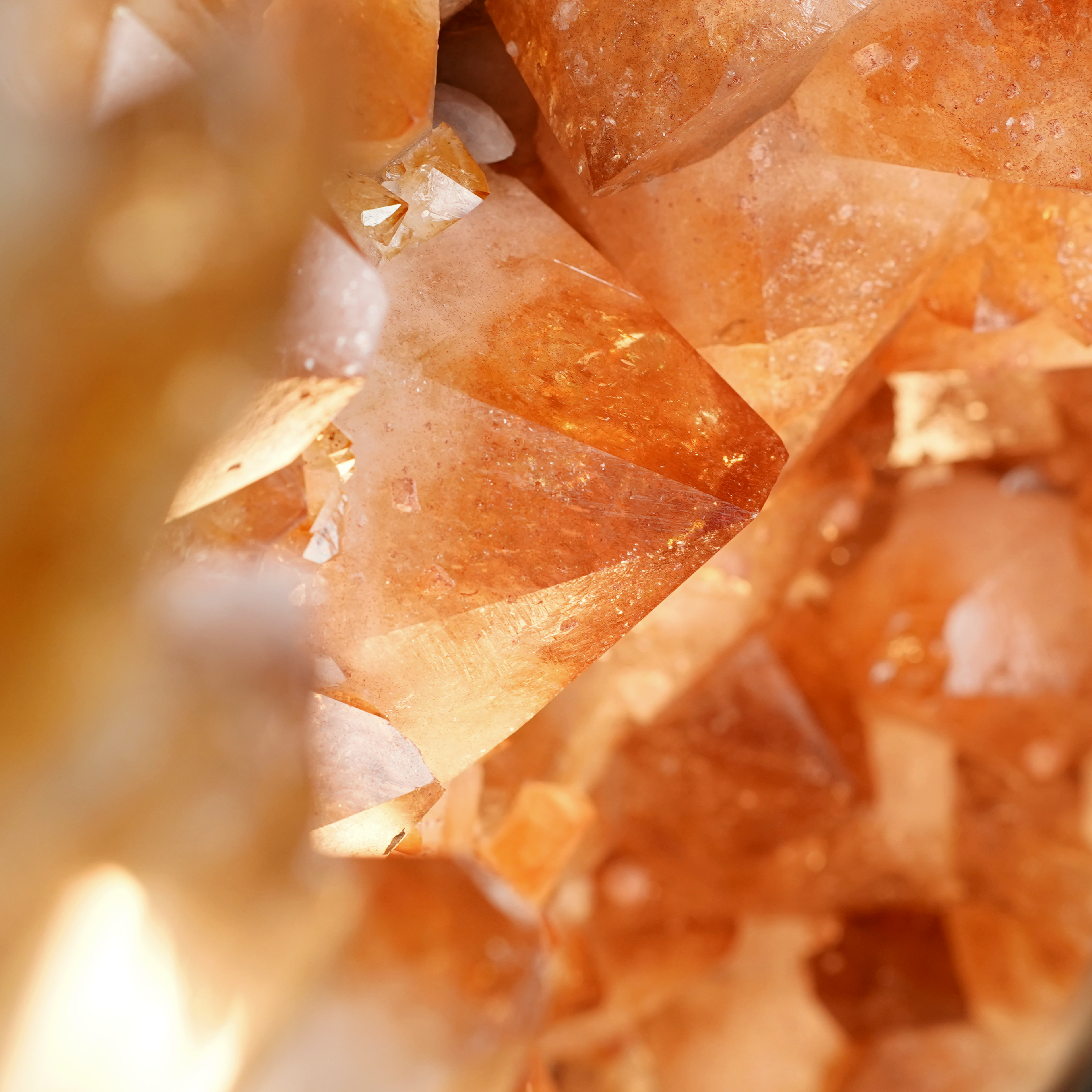 The Milk & Honey Citrine