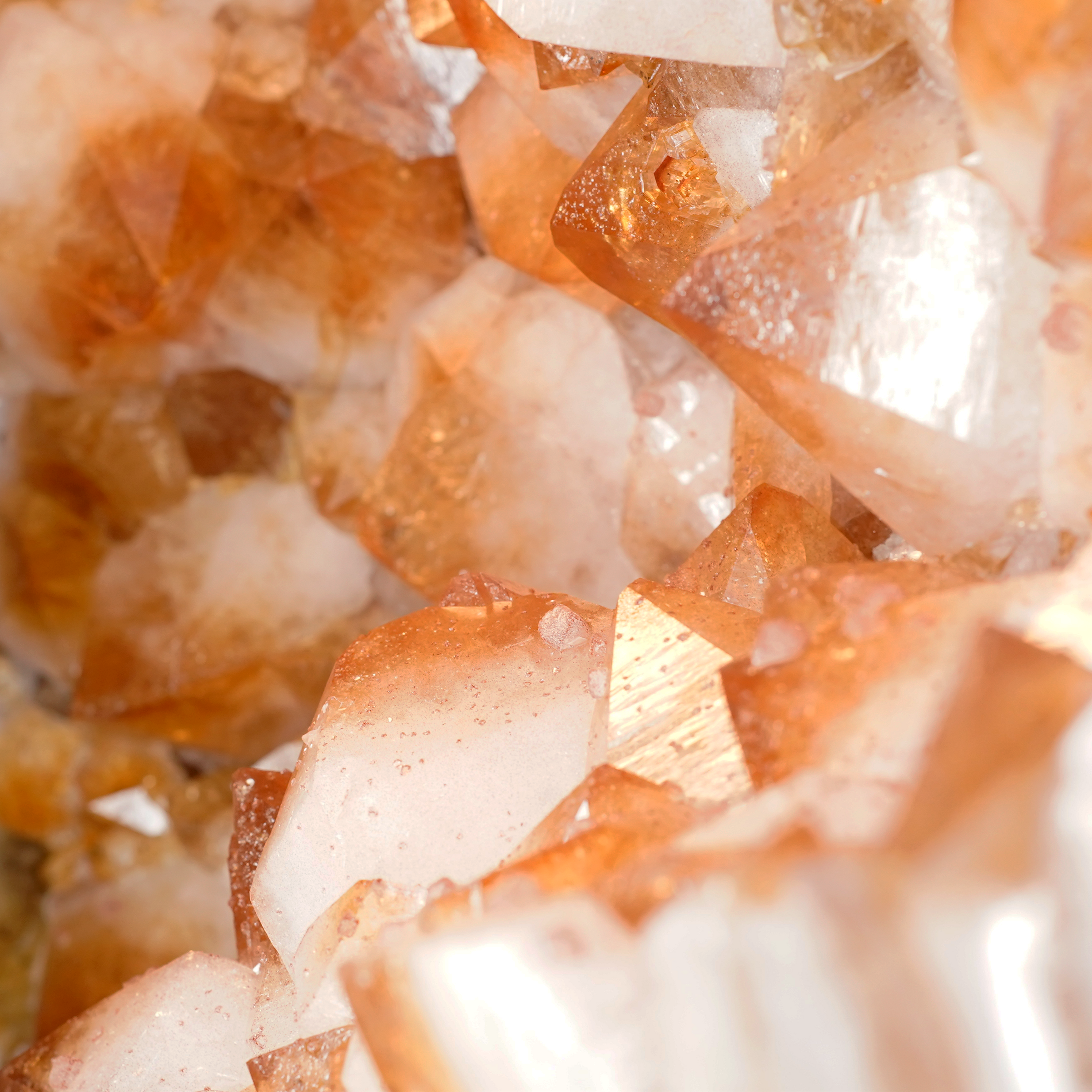 The Milk & Honey Citrine