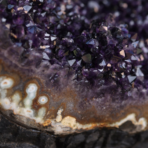 The Amethyst Sovereign 00001082