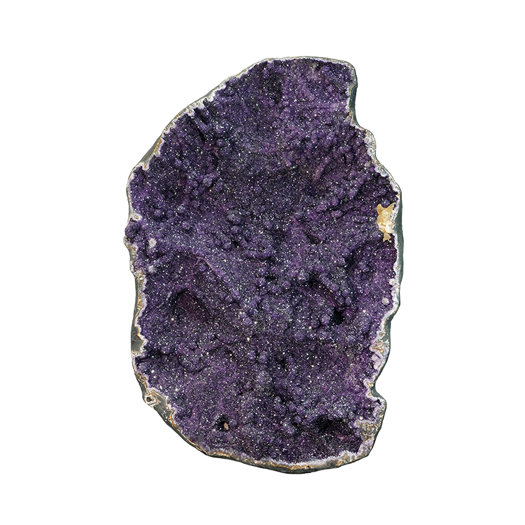 The Violet Hollow Nocturne