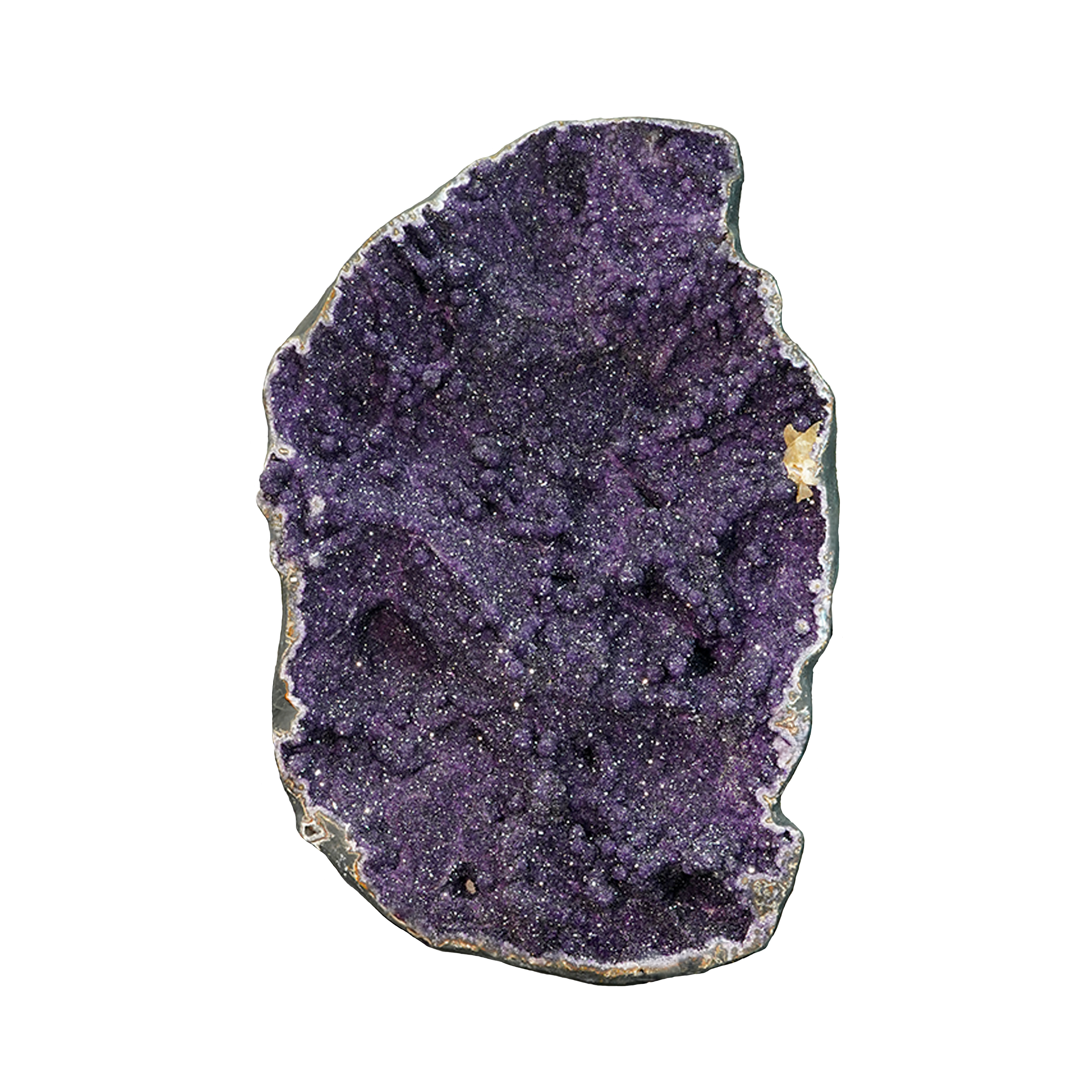 The Violet Hollow Nocturne