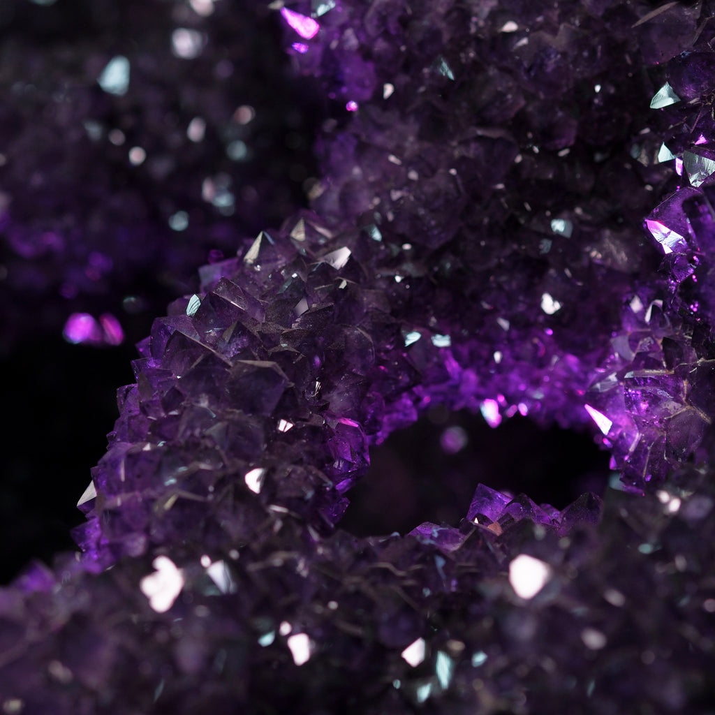 The Violet Hollow Nocturne