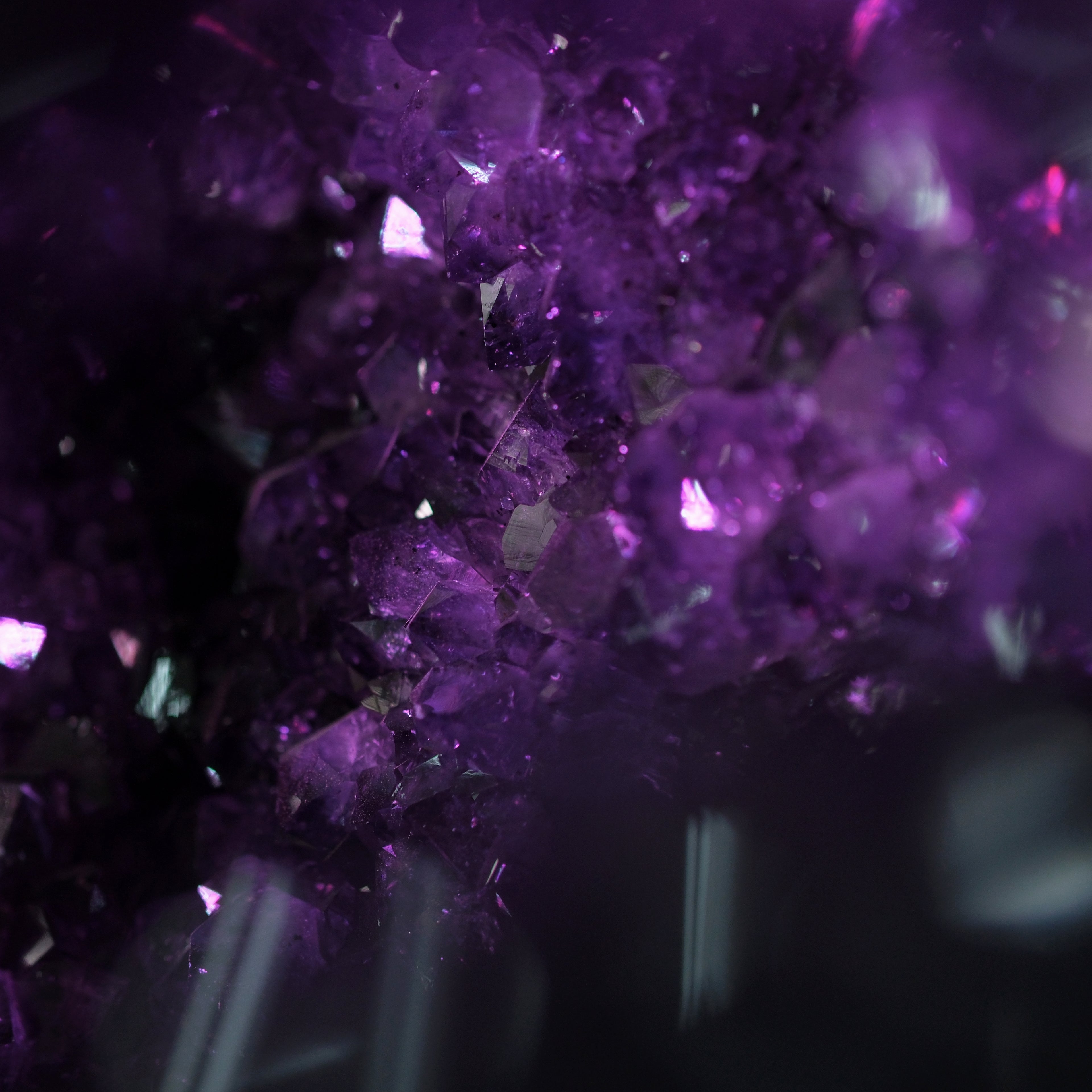 The Violet Hollow Nocturne
