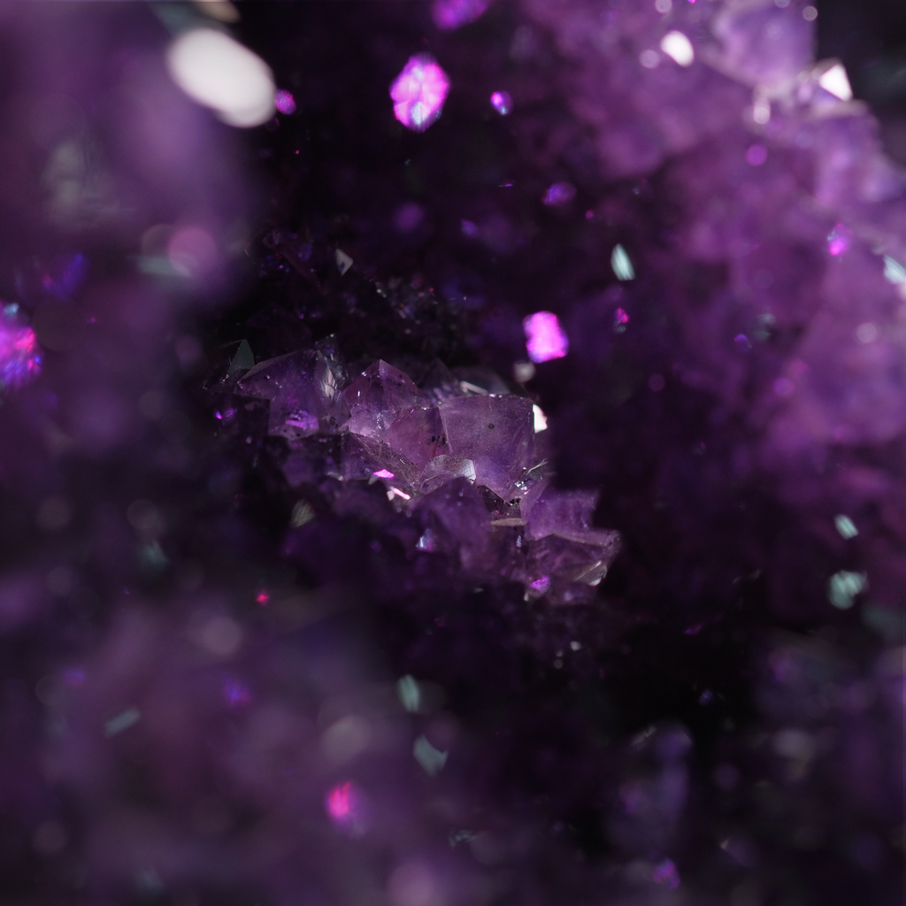 The Violet Hollow Nocturne