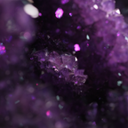 The Violet Hollow Nocturne