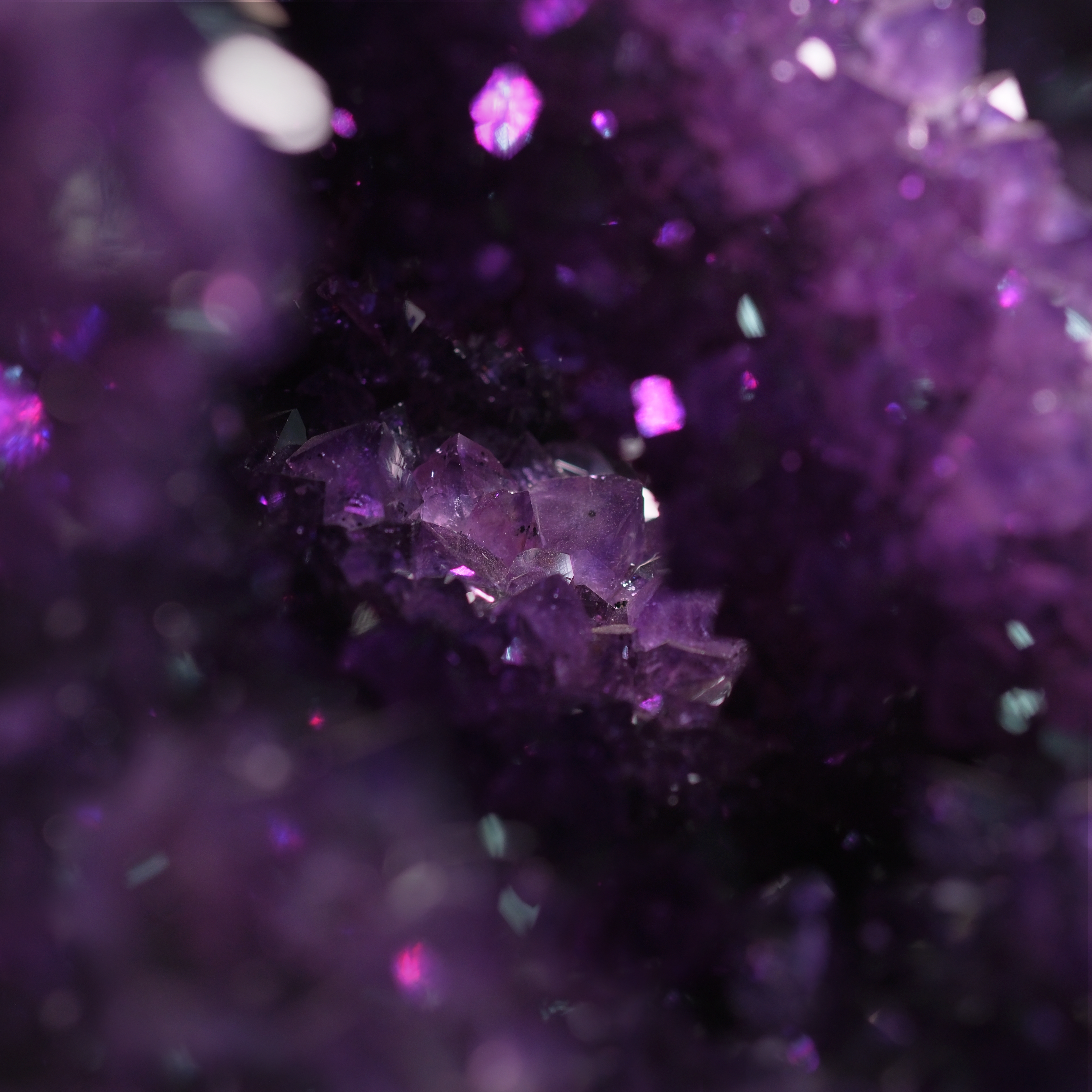 The Violet Hollow Nocturne