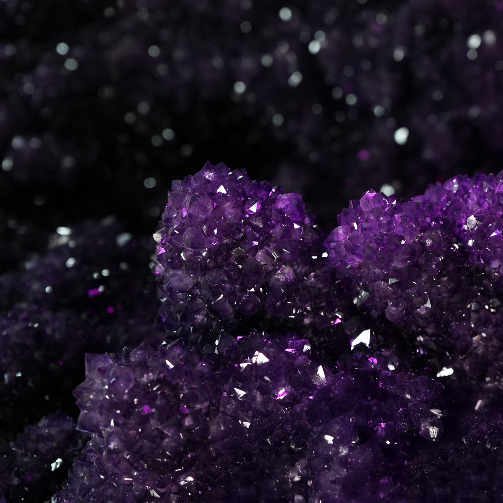 The Violet Hollow Nocturne