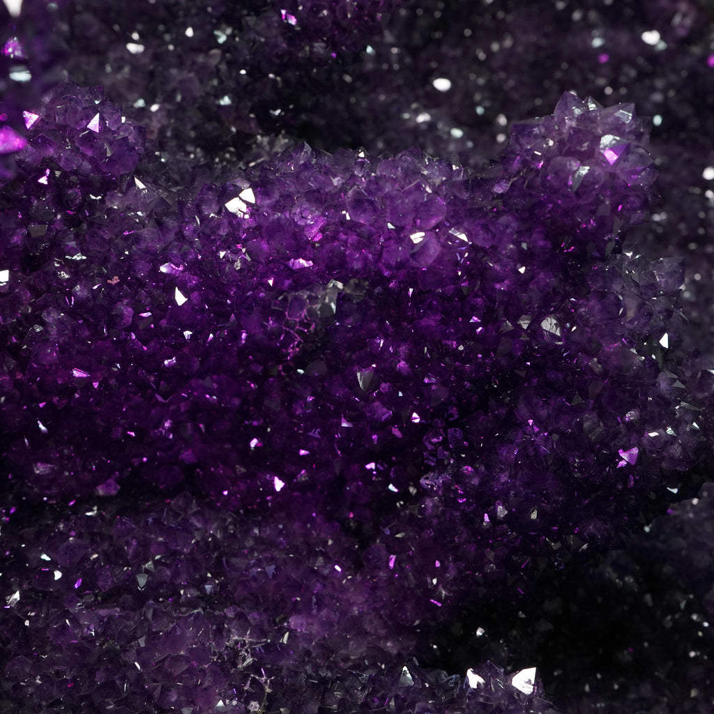 The Violet Hollow Nocturne