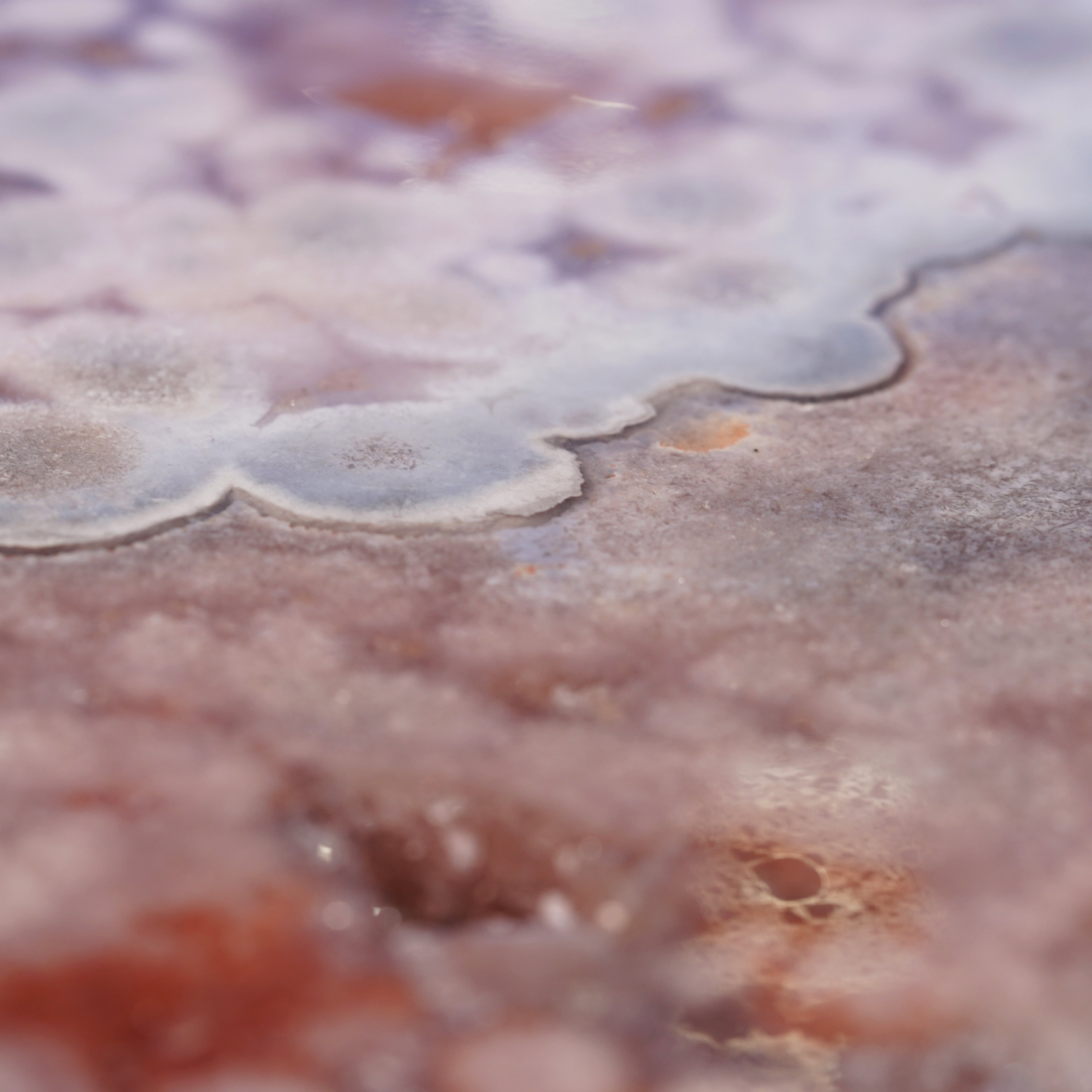 The Rose Agate Slab