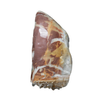 The Canyon Quartz Crest