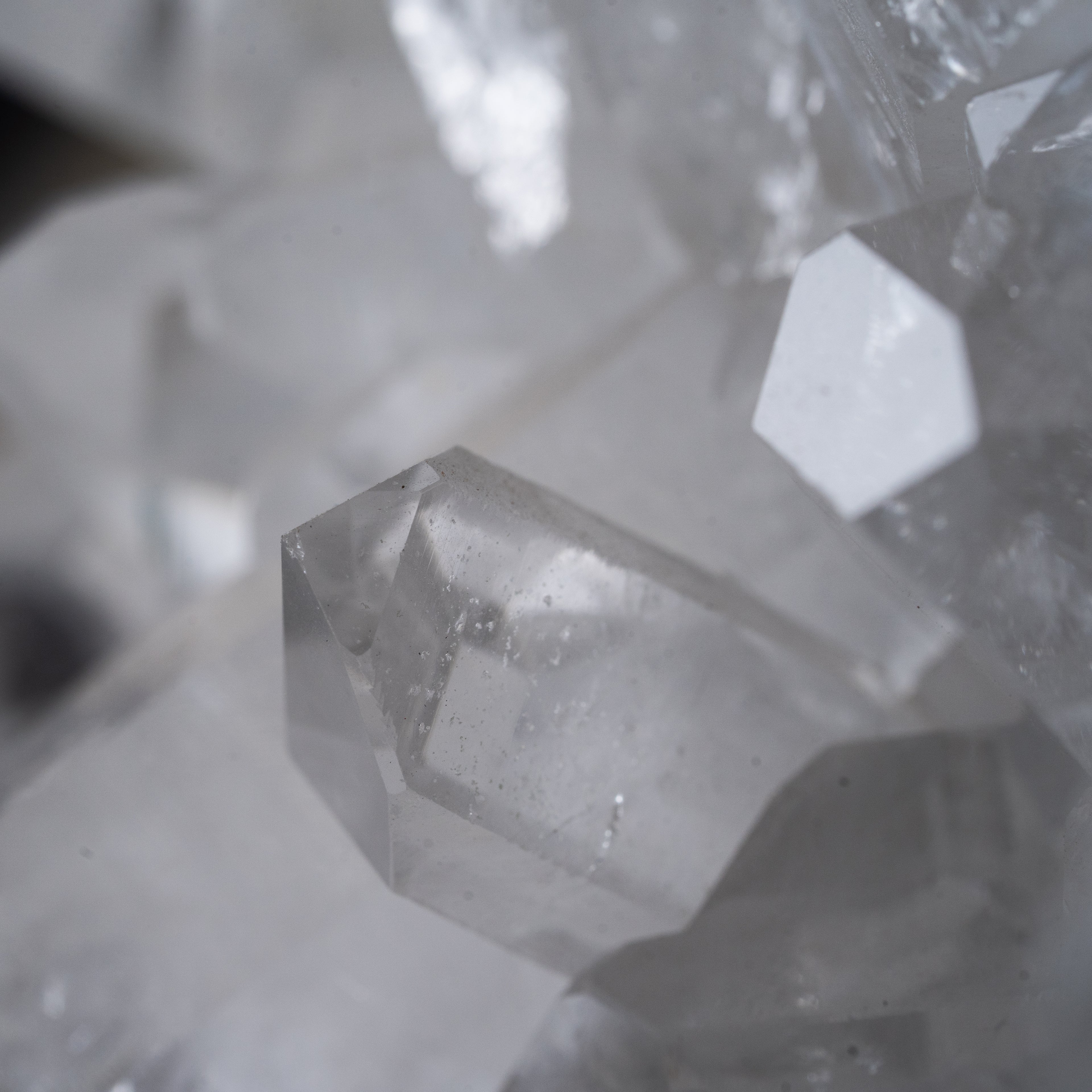 The Frost Crest Cluster
