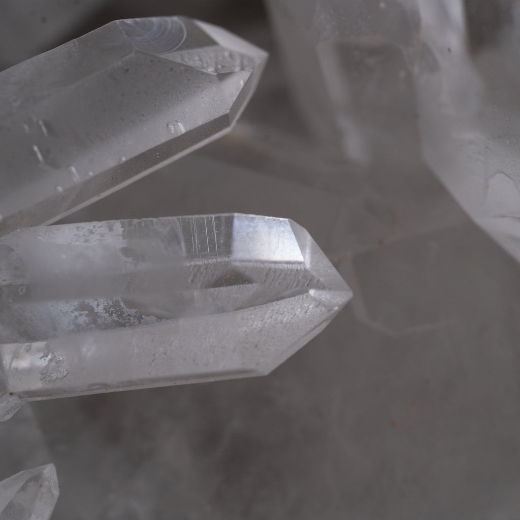 The Frost Crest Cluster