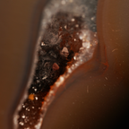The Mocha Strata Slice