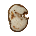 The Mocha Mist Slice