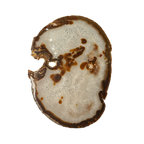 The Mocha Mist Slice