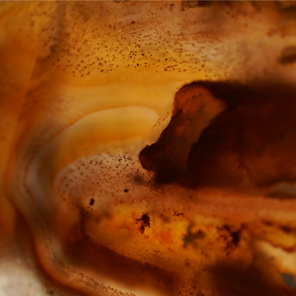The Mocha Mist Slice
