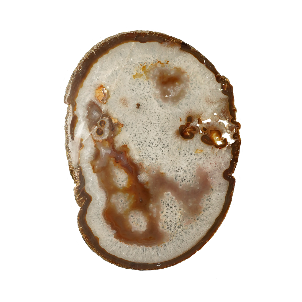 The Mocha Bloom Slice