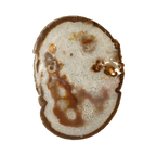 The Mocha Bloom Slice