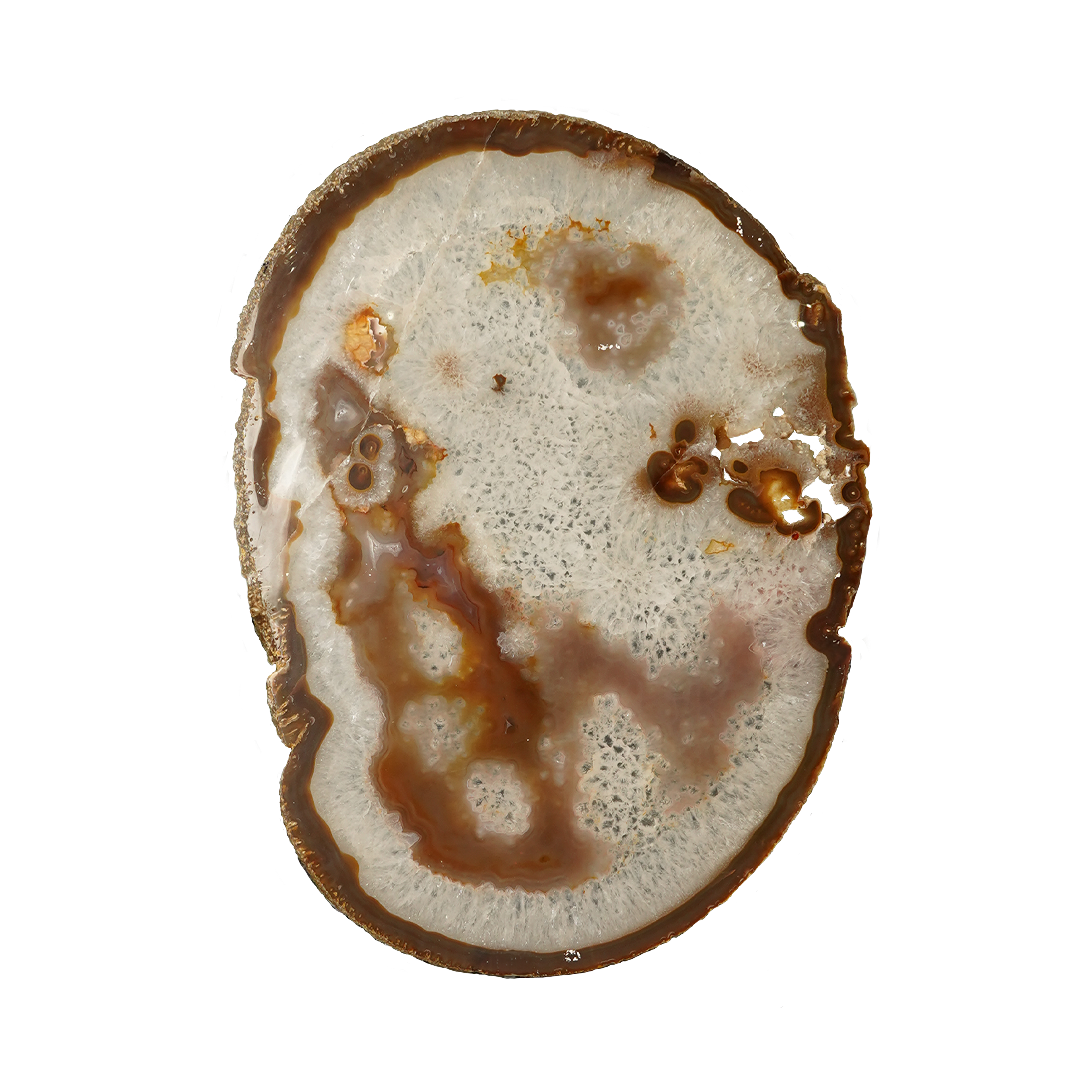 The Mocha Bloom Slice