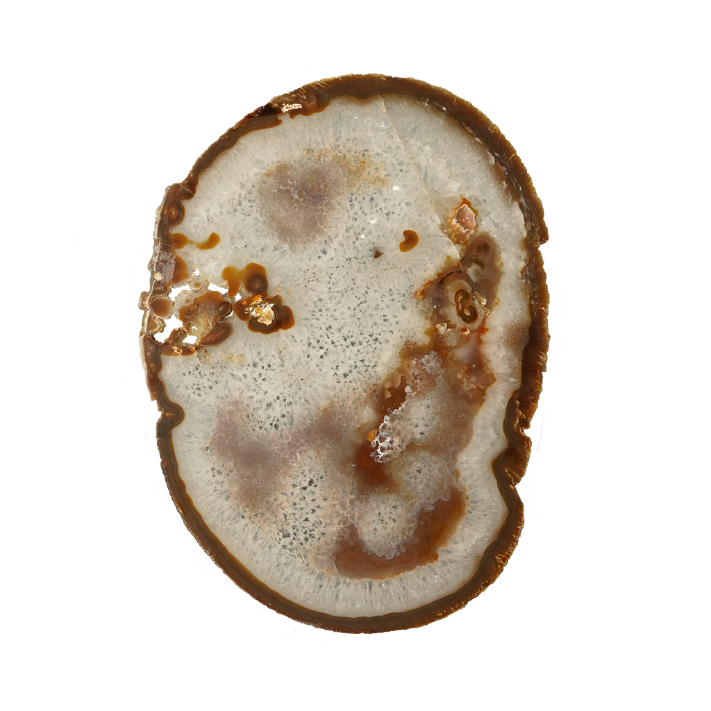 The Mocha Bloom Slice