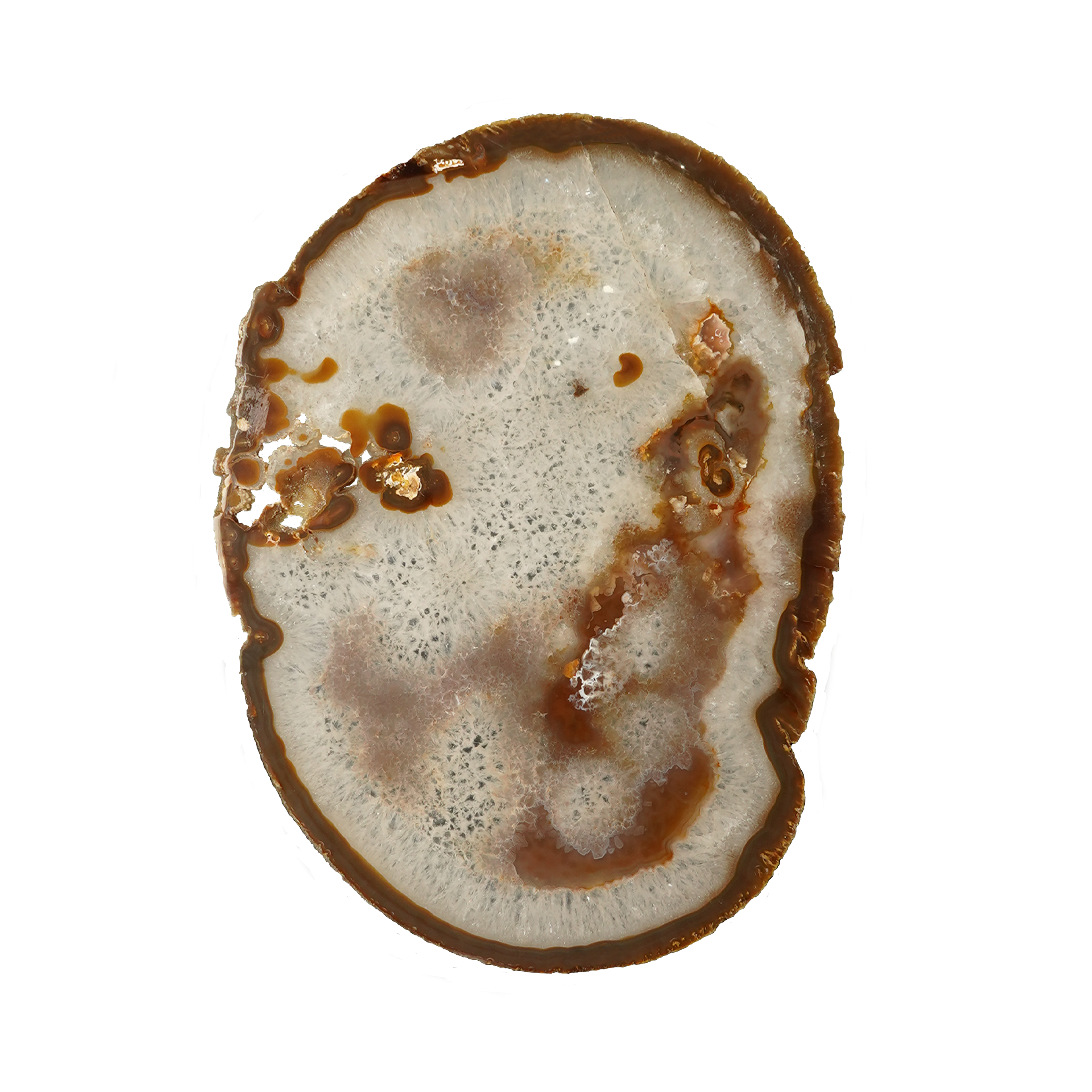 The Mocha Bloom Slice