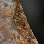 The Amber Crown Quartz Cluster