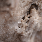 The Still Wave Chalcedony Quartz