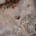 The Still Wave Chalcedony Quartz