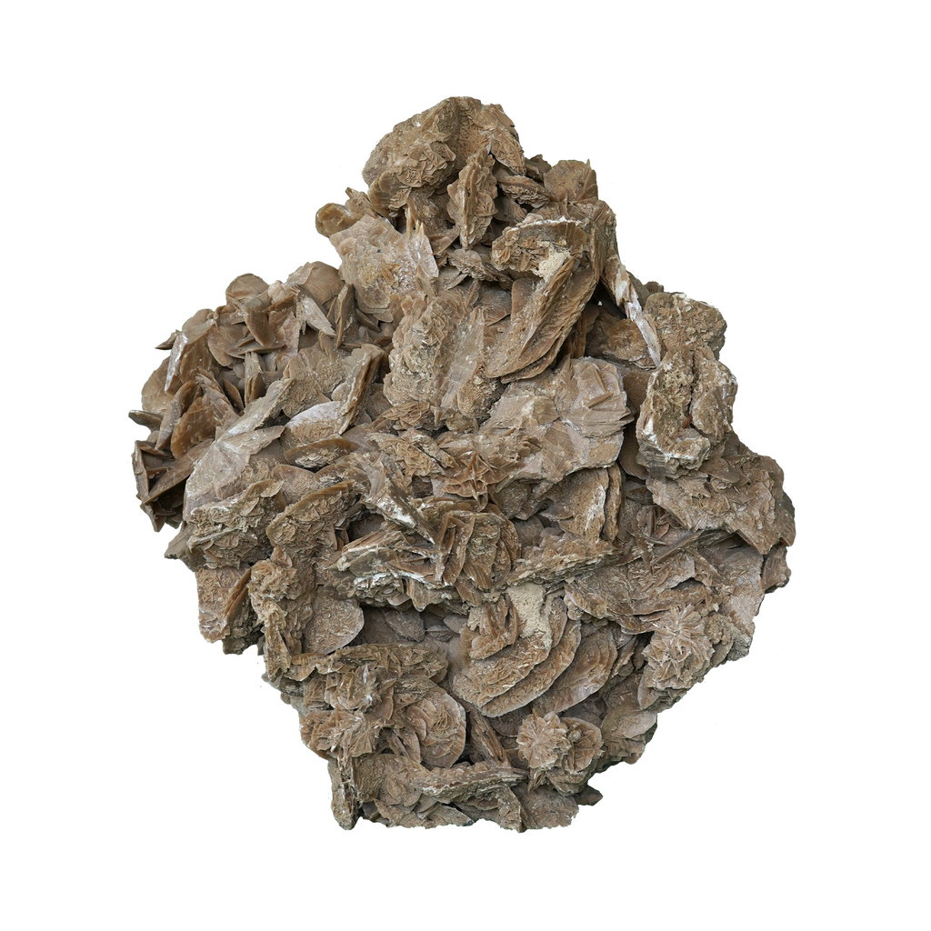 The Dune Blossom Selenite
