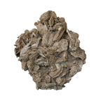 The Dune Blossom Selenite