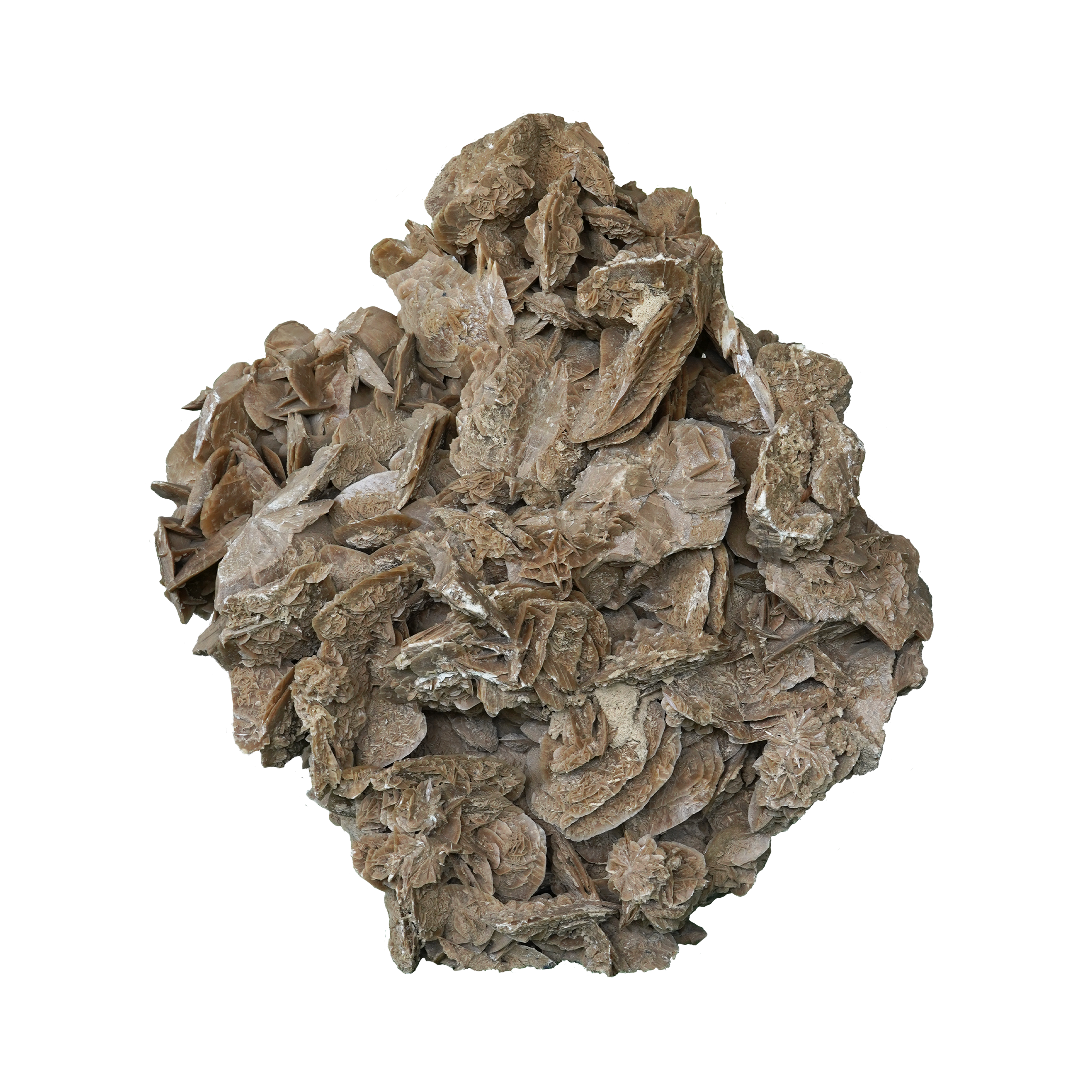 The Dune Blossom Selenite