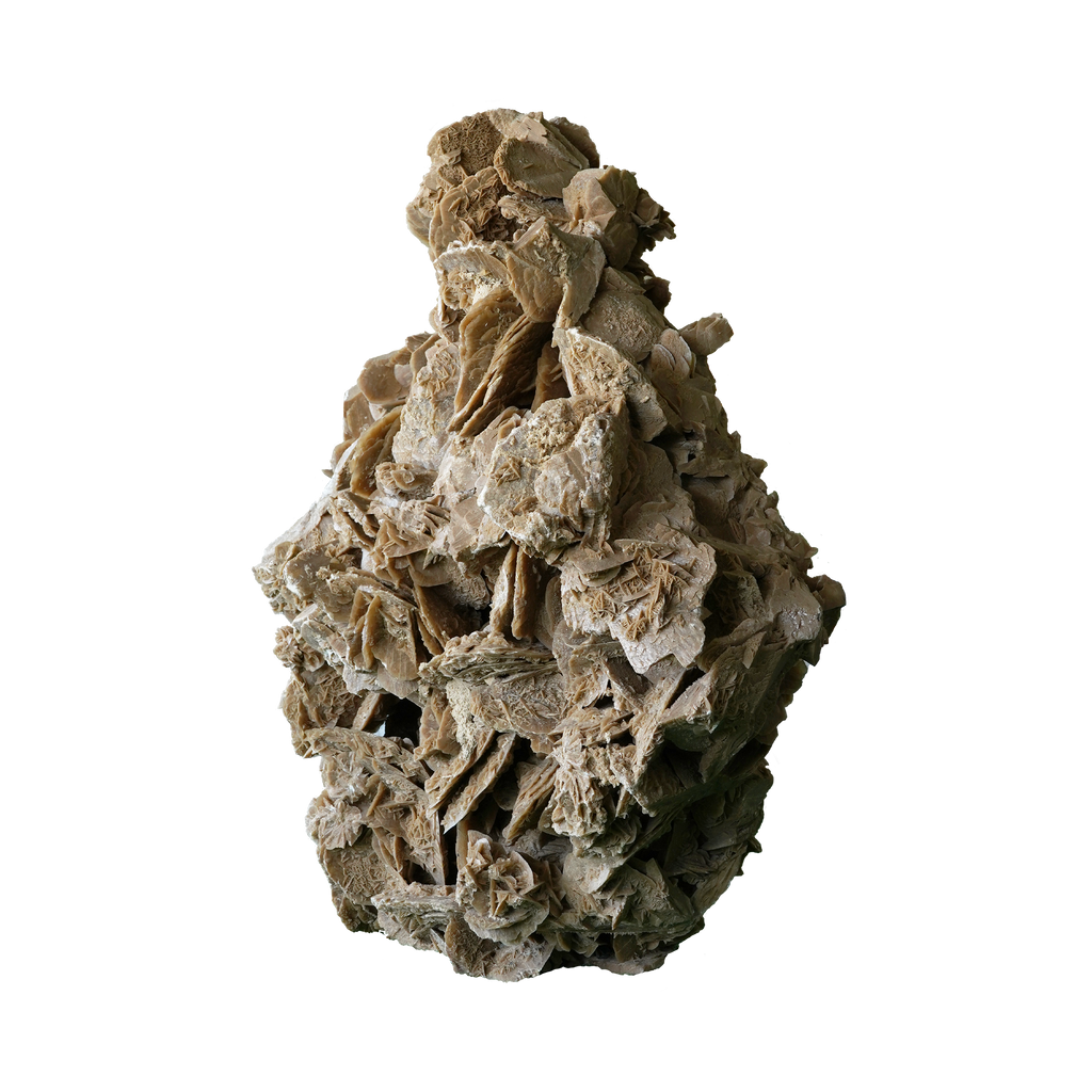 The Dune Blossom Selenite