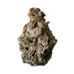 The Dune Blossom Selenite