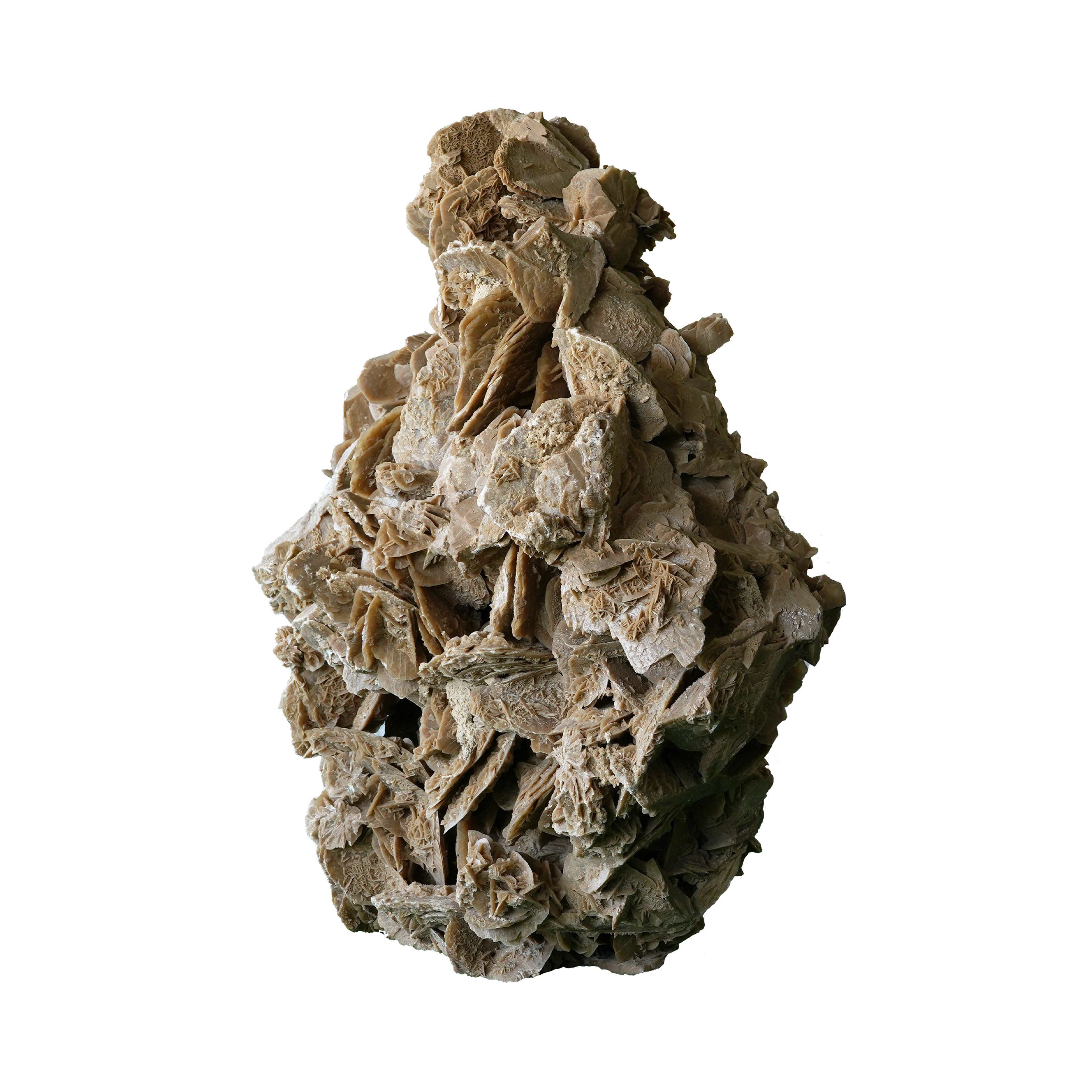 The Dune Blossom Selenite
