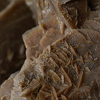 The Dune Blossom Selenite