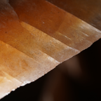 The Dune Blossom Selenite