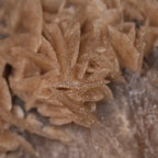 The Dune Blossom Selenite