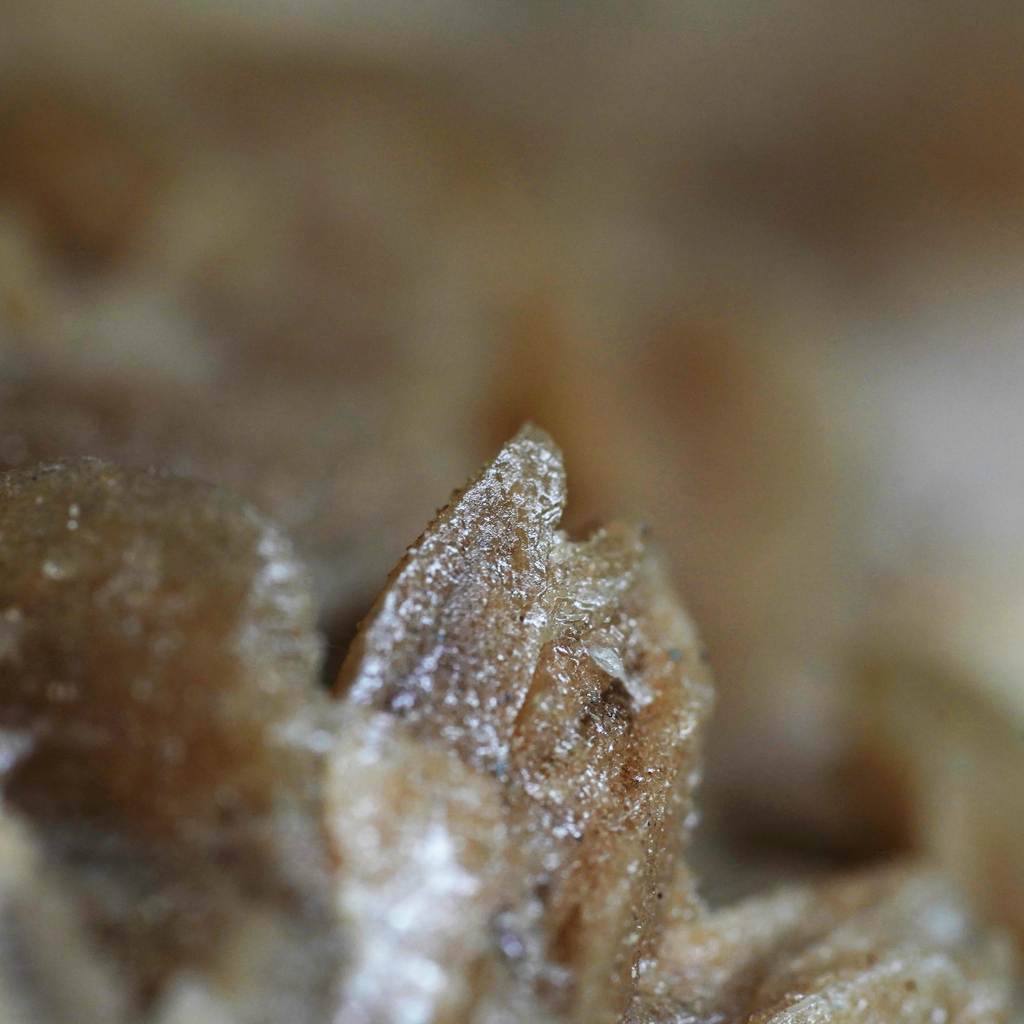 The Dune Blossom Selenite