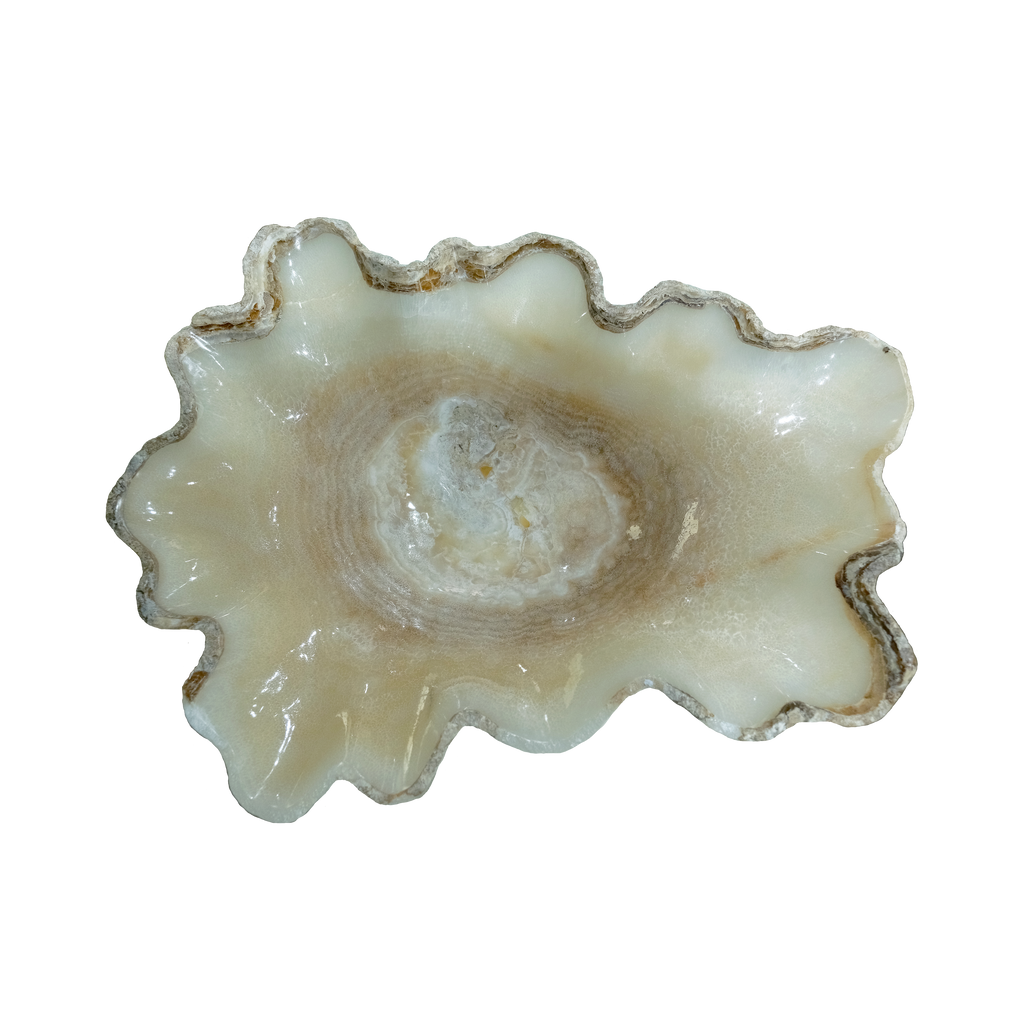The Ivory Bloom Basin